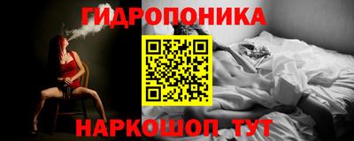 спиды Лесосибирск
