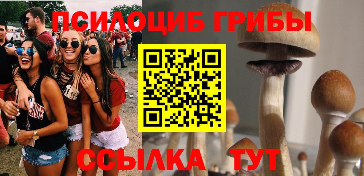 Псилоцибиновые грибы мухоморы  Вход с VPN  Галлюциногенные грибы мицелий  Гудермес 